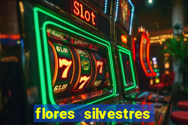 flores silvestres desbravadores desbravadores 25